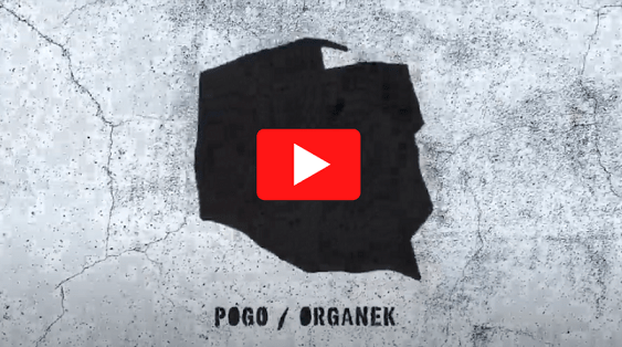 Organek Pogo Tour
