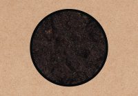 SWANS: premiera nowego krążka „Birthing”!!