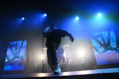 The-Amity-Affliction-2