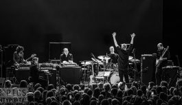 SWANS dzieli się pożegnalnym projektem „Newly Sentiment Being”!!