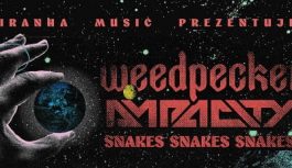 Wspólna trasa Weedpeckera i Ampacity już w tym miesiącu!